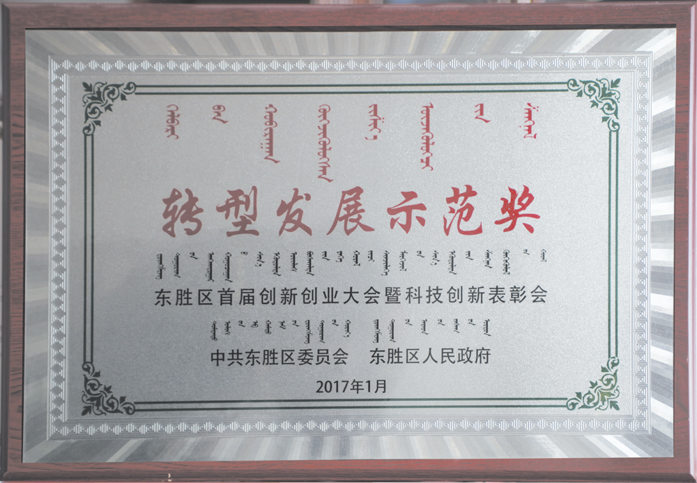 转型发展示范奖