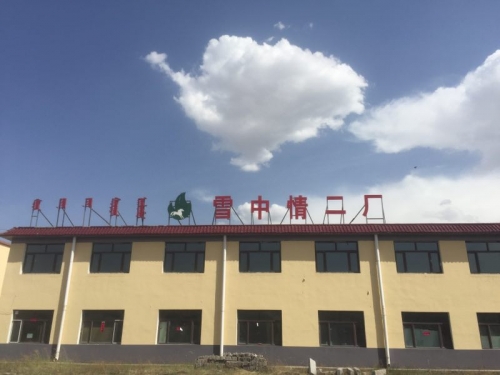 雪中情环保炭二厂