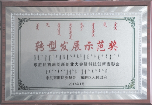 转型发展示范奖
