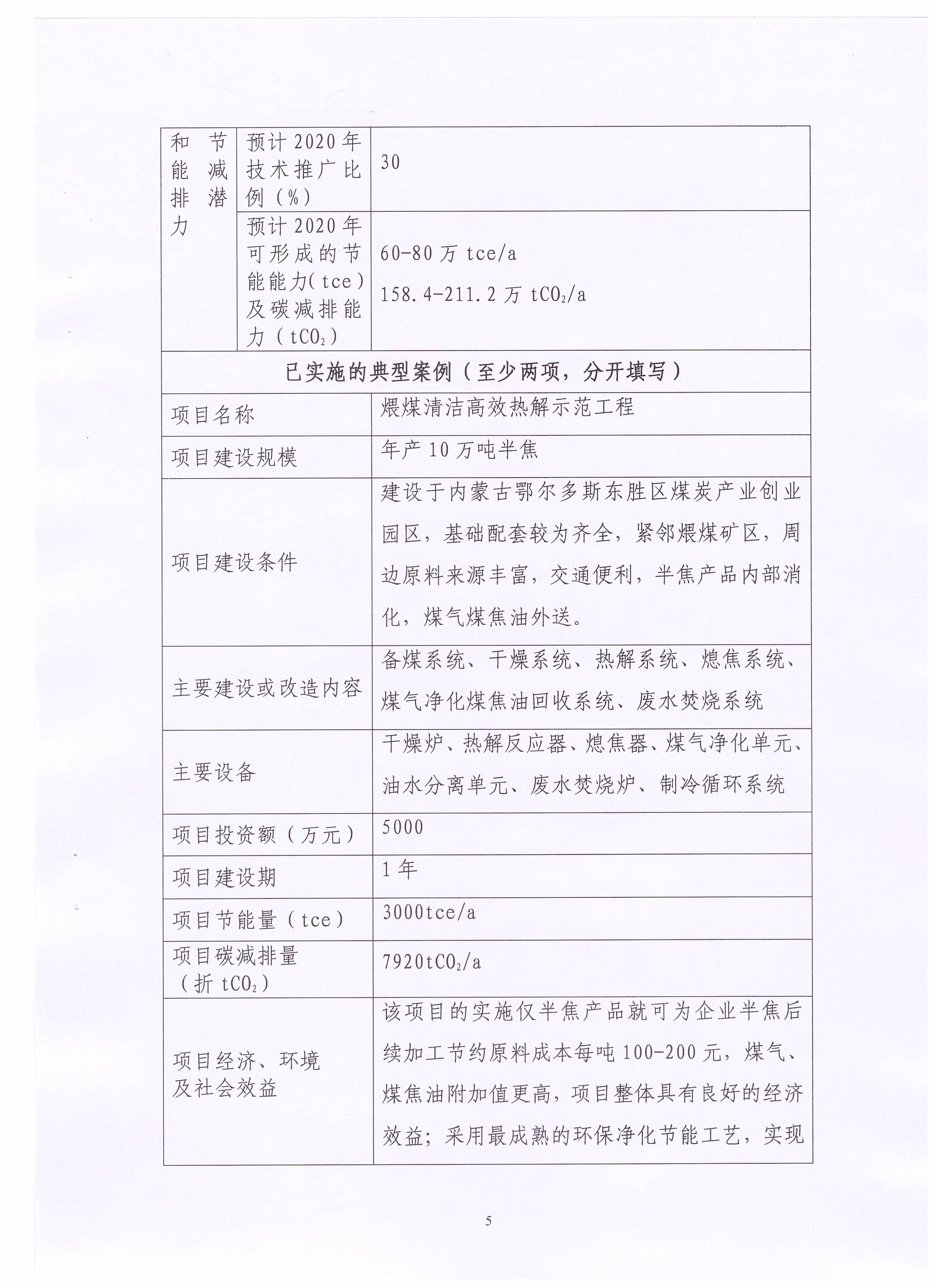 环保炭