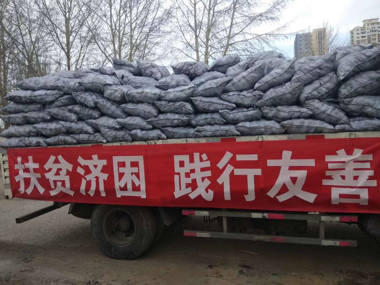 环保炭